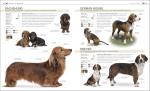 Complete Dog Breed Book: The Definitive Guide