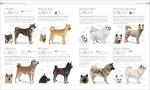 Ultimate Dog Encyclopedia for Pet Lovers