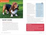 Dog Breed Guide for Kids: 50 Fun Breeds