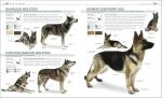 Complete Dog Breed Book: The Definitive Guide