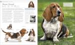 Ultimate Dog Encyclopedia for Pet Lovers