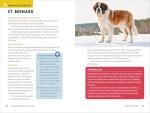 Dog Breed Guide for Kids: 50 Fun Breeds