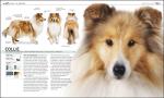 Complete Dog Breed Book: The Definitive Guide
