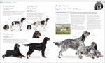 Ultimate Dog Encyclopedia for Pet Lovers