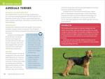 Dog Breed Guide for Kids: 50 Fun Breeds