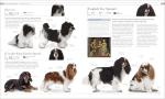 Ultimate Dog Encyclopedia for Pet Lovers