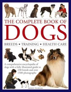 Ultimate Dog Guide: Breeds, Training, and Care