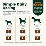 Extra Strength Hip & Joint Chews for Dogs