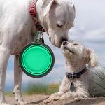 Collapsible Dog Bowls for Travel and Hiking