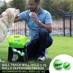 GoDogGo Automatic Ball Launcher for Dogs