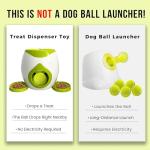 Interactive Dog Puzzle Toy - Treat Dispenser & Feeder