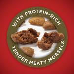 Purina ONE Lamb and Rice Dry Dog Food 16.5 lb