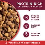 Purina ONE Small Bites Beef & Rice Dog Food