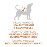 Purina ONE Healthy Weight High-Protein Dog Food