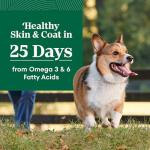 Nutro Natural Choice Small Bites Dog Food, Lamb