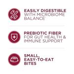 Purina ONE Small Bites Beef & Rice Dog Food