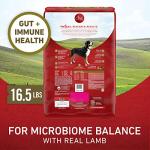 Purina ONE Lamb and Rice Dry Dog Food 16.5 lb