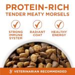 Purina ONE Healthy Weight High-Protein Dog Food