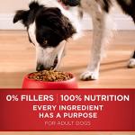 Purina ONE Lamb and Rice Dry Dog Food 16.5 lb