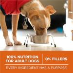 Purina ONE Healthy Weight High-Protein Dog Food