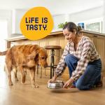 Kibbles 'n Bits Savory Beef & Chicken Dog Food