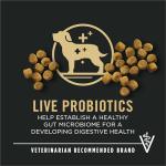 Purina Pro Plan Puppy Dry Dog Food