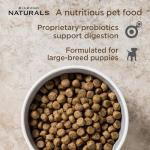 Diamond Naturals Large Breed Puppy Food 40 lb