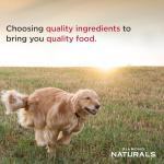 Diamond Naturals Large Breed Puppy Food 40 lb