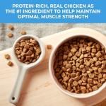 Nature's Recipe Grain-Free Puppy Dry Dog Food