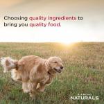 Diamond Naturals Small & Medium Puppy Dry Food