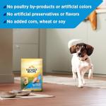 Nature's Recipe Grain-Free Puppy Dry Dog Food