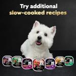 Loaf in Sauce Wet Dog Food Variety Pack
