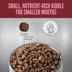 ORIJEN Small Breed High Protein Grain-Free Dog Food