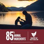 ORIJEN Small Breed High Protein Grain-Free Dog Food