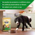 Nature's Recipe Grain-Free Large Breed Dog Food 24 lb