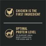 Purina Pro Plan Senior Dog Food, Chicken & Rice