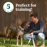 Nutro Crunchy Dog Treats with Mixed Berries