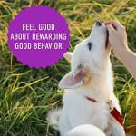 Cloud Star Tricky Trainers Liver Dog Treats, 5 oz