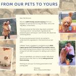 Organic Freeze-Dried Beef Liver Dog Treats