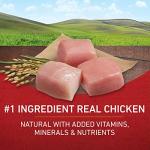 Purina ONE Chicken and Rice Dry Dog Food