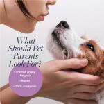 Vet-Recommended Antiparasitic Dog Shampoo, 16 oz