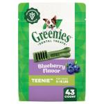 Greenies Blueberry Dental Treats for Dogs, 12 oz