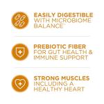 Purina ONE Chicken and Rice Dry Dog Food