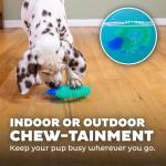 Outward Hound Hedgehog Dental Chew Toy for Dogs