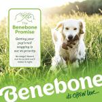 Benebone Large 4-Pack Chew Toys for Dogs