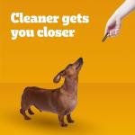 Pedigree Dentastix Small Dog Treats, Fresh Flavor