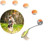 PAWISE Dog Ball Launcher for Small Dogs
