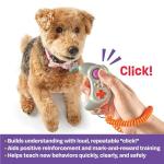 Brightkins Smarty Pooch Gamepad Training Clicker