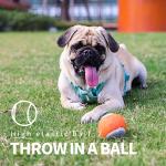 PAWISE Dog Ball Launcher for Small Dogs