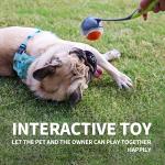 PAWISE Dog Ball Launcher for Small Dogs